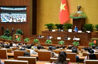 Quốc hội thảo luận dự thảo Luật Tư pháp người chưa thành niên, Luật Di sản văn hóa (sửa đổi)