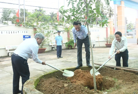 Tiến độ thực hiện Đề án trồng cây xanh trên địa bàn tỉnh Bến Tre giai đoạn 2021 - 2025