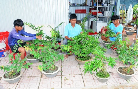 Nông dân Vĩnh Thành thi đua sản xuất, kinh doanh giỏi