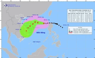 Bão số 7 diễn biến phức tạp, nguy cơ ảnh hưởng đến ven biển miền Trung