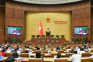 Thông cáo báo chí số 17, Kỳ họp thứ 8, Quốc hội khóa XV