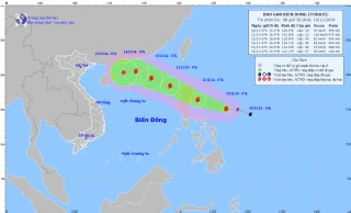 Bão số 8 di chuyển theo hướng Tây Bắc, gió giật cấp 12