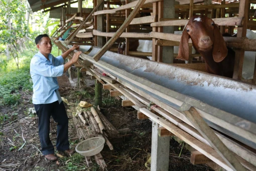 Tân Thanh Tây nhiều mô hình sinh kế thoát nghèo bền vững