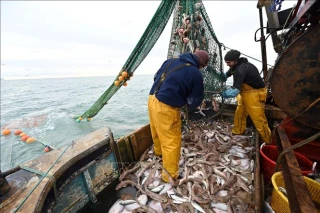 EU chấm dứt thỏa thuận đánh bắt cá với Senegal