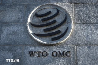 Việt Nam tham gia phiên rà soát chính sách thương mại của Nigeria tại WTO