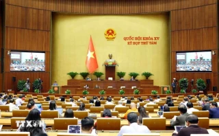 Thông cáo báo chí số 23 Kỳ họp thứ 8, Quốc hội khóa XV