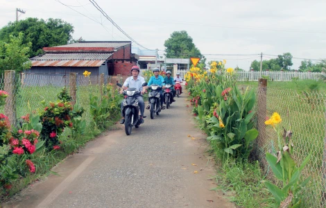 Cựu chiến binh xã An Qui tích cực xây dựng nông thôn mới