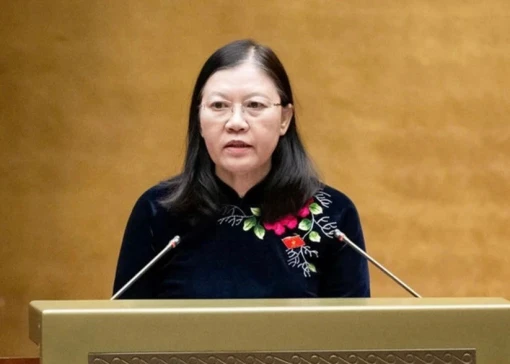 Quốc hội thông qua Luật Tư pháp người chưa thành niên