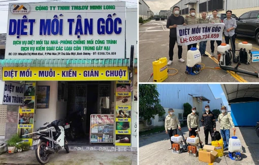 Minh Long - công ty diệt mối tận gốc uy tín hàng đầu Việt Nam