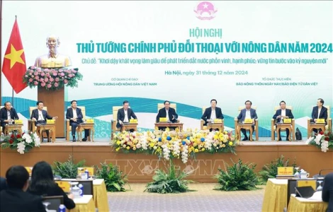 Thủ tướng Chính phủ: Cần nghiên cứu để đưa ra chính sách bảo hiểm nông nghiệp hiệu quả