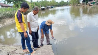 Quy định mới về quan trắc và điều tra, khảo sát xâm nhập mặn