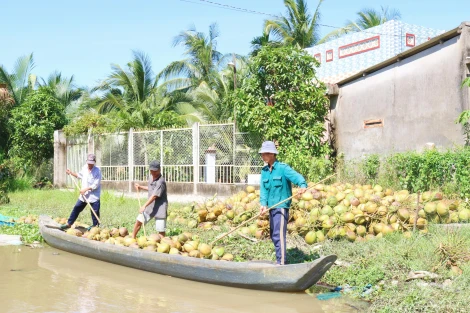 Châu Bình nâng cao đời sống vật chất, tinh thần cho nhân dân