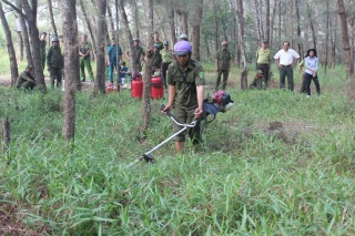 Kiểm tra công tác phòng cháy, chữa cháy rừng mùa khô 2024 - 2025 tại Bình Đại