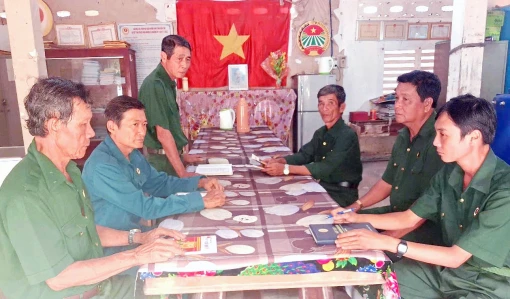 Hội Cựu chiến binh thị trấn Tiệm Tôm tích cực đóng góp xây dựng nông thôn mới