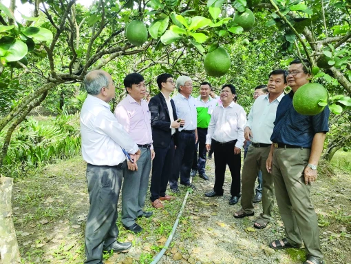 Hội Nông dân tỉnh: Đẩy mạnh chuyển đổi số trong nông nghiệp