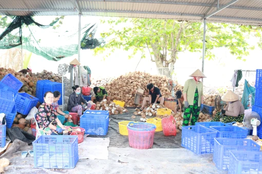 Châu Bình thi đua “Đồng khởi mới” chào mừng đại hội đảng bộ xã, nhiệm kỳ 2025 - 2030