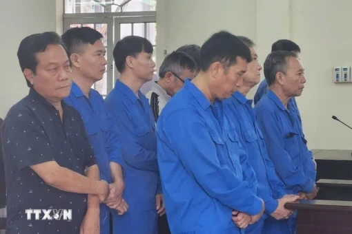 Nguyên Giám đốc Sở Nông nghiệp và Phát triển nông thôn tỉnh Bà Rịa - Vũng Tàu lĩnh án 5 năm tù