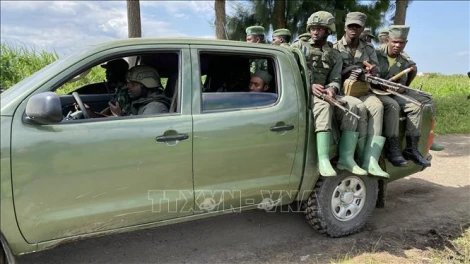 CHDC Congo: Liên hợp quốc sơ tán nhân viên khỏi thành phố Goma do đụng độ leo thang