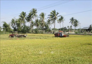 Sửa đổi Nghị định 58/2018/NĐ-CP: Hỗ trợ bảo hiểm nông nghiệp