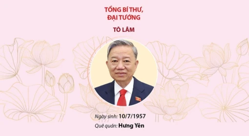 [Infographics] Ban Bí thư Trung ương Đảng khóa XIII