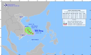 Áp thấp nhiệt đới đang tiến vào vùng biển Nam Trung bộ, sẵn sàng ứng phó