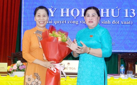 Bà Phạm Thị Thêm được bầu làm Phó chủ tịch UBND huyện Mỏ Cày Bắc