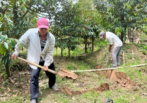 Chủ động ứng phó hạn mặn