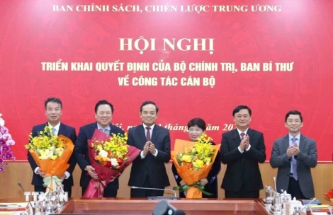 Điều động, bổ nhiệm 3 Phó Trưởng Ban Chính sách, chiến lược Trung ương