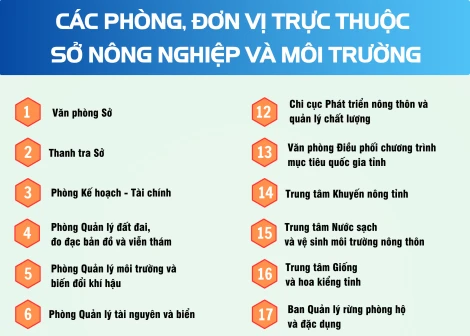 [Infographics] Các phòng, đơn vị trực thuộc Sở Nông nghiệp và Môi trường