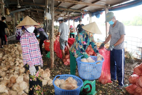 Mỏ Cày Nam tập trung giải pháp tăng trưởng kinh tế năm 2025 đạt 8%