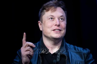 Tổng thống Trump giới hạn quyền lực của ông Elon Musk trong chính quyền