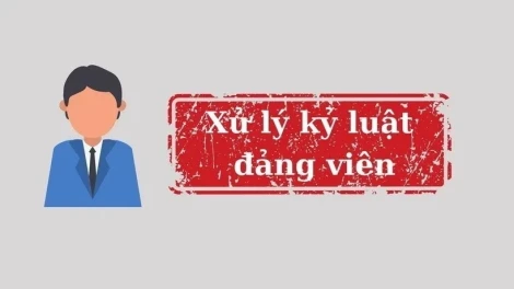 Ban Bí thư xem xét, thi hành kỷ luật cán bộ