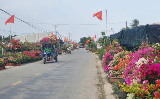 Chợ Lách tập trung huy động nguồn lực phát triển kinh tế - xã hội