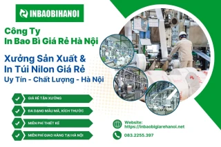 Công ty In bao bì giá rẻ Thành Tiến Hà Nội cung cấp dịch vụ in túi nilon chất lượng