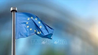 Hungary không ủng hộ sớm kết nạp Ukraine vào EU