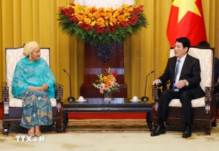 Chủ tịch nước đề nghị Liên hợp quốc hỗ trợ Việt Nam trên một số lĩnh vực ưu tiên