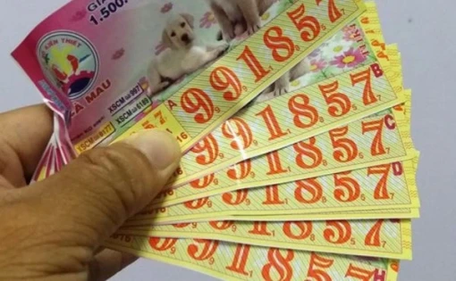 Xổ Số Hoàng Kim - Trang web giúp bạn cập nhật kết quả xổ số Cà Mau nhanh chóng