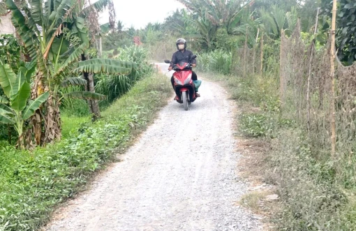 Ấp Thành Long, xã Thành Thới A vận động nhân dân hiến đất, hoa màu nâng cấp tuyến đường Cồn Cát