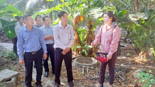 Giám sát việc thực hiện Nghị quyết của HĐND tỉnh liên quan đến lĩnh vực nông nghiệp tại Giồng Trôm
