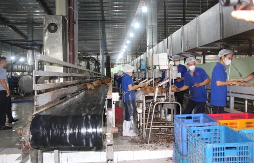 Triển khai nhiệm vụ, giải pháp trọng tâm thúc đẩy tăng trưởng kinh tế năm 2025