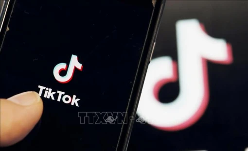 EU phạt TikTok 600 triệu USD