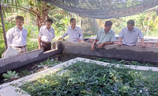 Giồng Trôm thực hiện hiệu quả các nghị quyết của HĐND tỉnh về nông nghiệp
