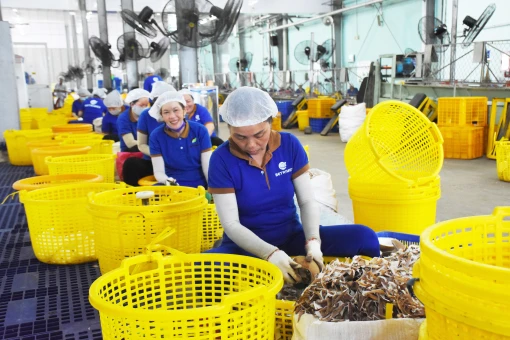 Phát triển kinh tế tư nhân hiệu quả, chất lượng cao