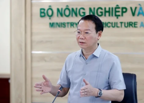 Bộ Nông nghiệp và Môi trường họp khẩn về sầu riêng