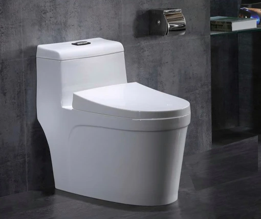7 lưu ý quan trọng khi chọn mua bồn cầu 1 khối