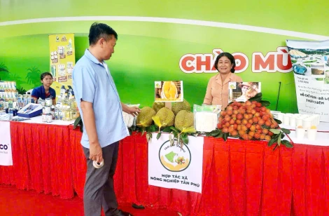 Nâng cao chất lượng, mở rộng thị trường tiêu thụ sầu riêng