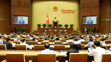 Đề nghị quy định linh hoạt là 'đơn vị hành chính dưới cấp tỉnh'
