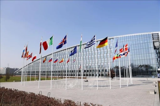NATO: Điều tra nghi án tham nhũng trong hợp đồng mua sắm quân sự