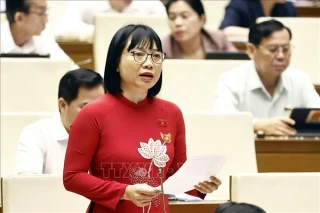 Cơ chế hậu kiểm cho kinh tế tư nhân phải đủ mạnh, minh bạch và hiệu quả