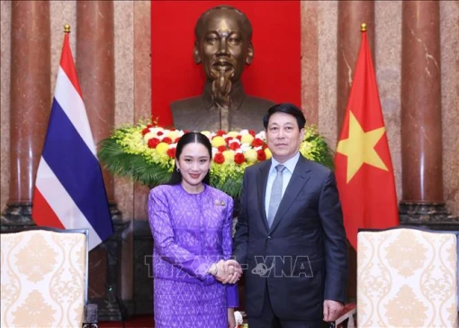 Chủ tịch nước Lương Cường tiếp Thủ tướng Thái Lan